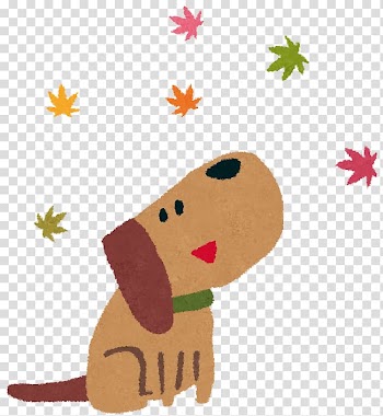 Cat Dog Cocktail garnish Pet Food, Cat transparent background PNG clipart