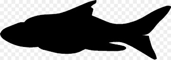 Cat, Dog, Mammal, Blackandwhite PNG
