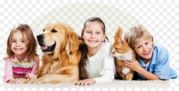 Cat, Dog, Pet, Canidae PNG