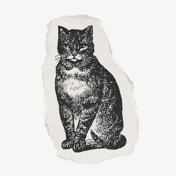 Cat drawing, ripped paper, animal | Free PSD Illustration - rawpixel