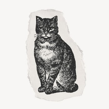 Cat drawing, torn paper, animal | Free Photo Illustration - rawpixel