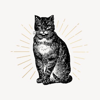 Cat drawing, vintage animal illustration | Free PSD Illustration - rawpixel