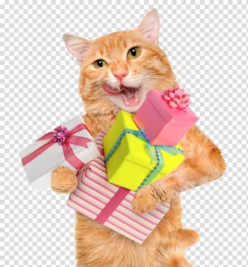 Cat Felidae Hill's Pet Nutrition, Happy to receive a gift cat transparent background PNG clipart