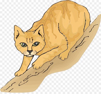 cat fennec fox small to medium-sized cats clip art tail