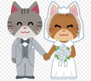 Cat Food Bridegroom Wedding Dog - cat 