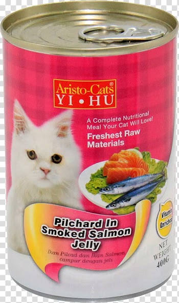 Cat Food Smoked salmon Pet, Cat transparent background PNG clipart