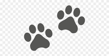 Cat Footprint Icon Transparent Png - Dog Border