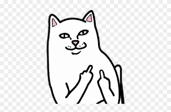 Cat Fuck You Fuckyou - Middle Finger Cat Png