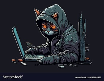 cat hacker