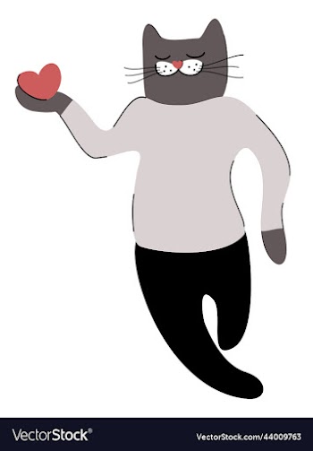 cat holdind a heart isolated