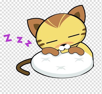 Cat Icon, Sleepy cat nose transparent background PNG clipart