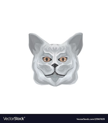 Cat ilustration vector image