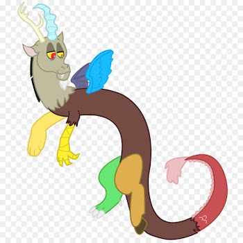 Cat Image Rainbow Dash Rarity Pony - cat 