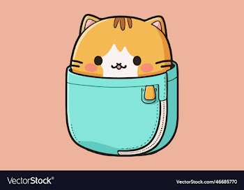 cat in pocket