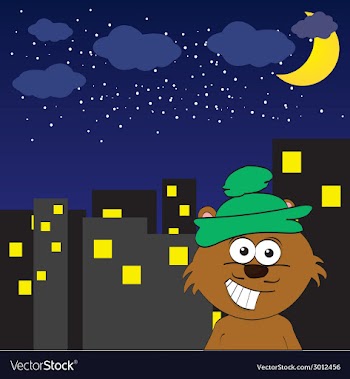 Cat in the night vector image