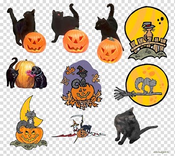 Cat Jack-o'-lantern Kitten , Cat transparent background PNG clipart