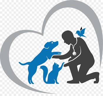 Cat Kamfinsa Veterinary Clinic Veterinarian Pet Labrador Retriever - cat 