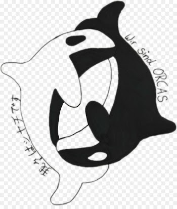 Cat, Killer Whale, Drawing, Dolphin PNG