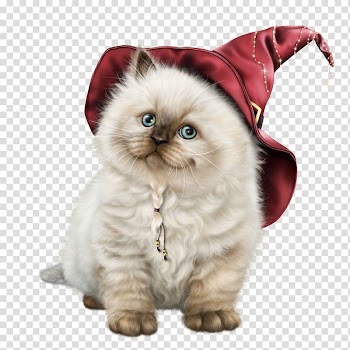 Cat Kitten Blog , cats transparent background PNG clipart