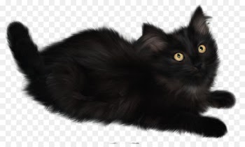 Cat Kitten Clip art - Witch Cat 