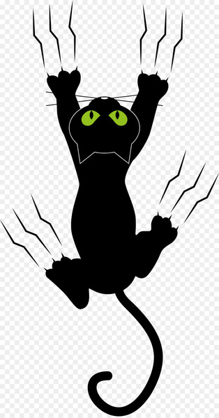 Cat Kitten Dog Paw - The black cat's claw marks 