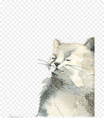 Cat Kitten Drawing Watercolor painting Illustration - White cat 