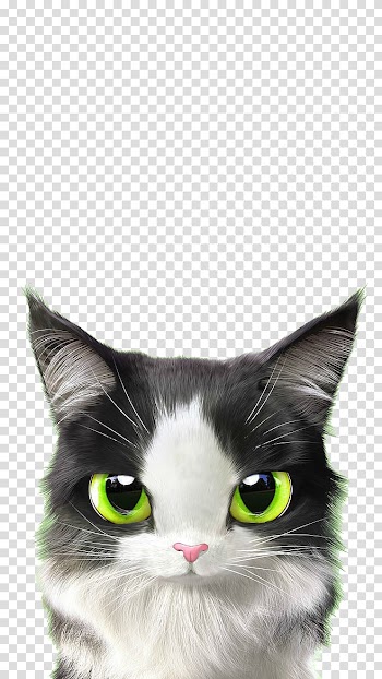 Cat Kitten Mouse Cuteness Gift, Green-eyed cat transparent background PNG clipart