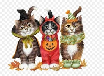 Cat Kitten Trick-or-treating Halloween - Three kittens 