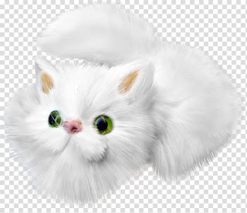 Cat Kitten White Drawing, Cartoon white cat transparent background PNG clipart