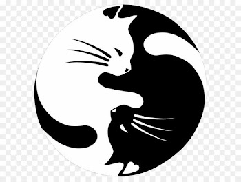 Cat Kitten Window Decal Sticker - Fresh black and white yin and yang jade cat 