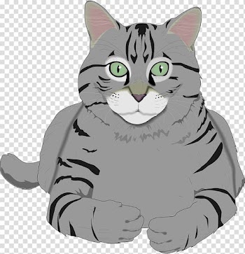 Cat Kitten Yarn , White tiger transparent background PNG clipart