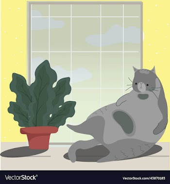 cat lying on windosill wooden frame of neighbor