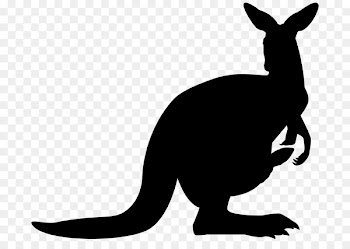 Cat Macropods Hare Clip art Fauna -  