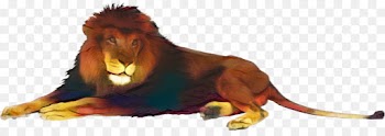 Cat, Mammal, Carnivores, Animal Figure, Toy PNG