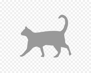 Cat Martes 13 Birthday T-Shirt Illustration - arroz map 