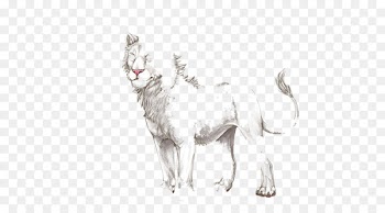 Cat Mustang Mammal Dog Camel - cat 