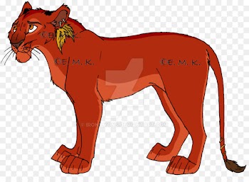 Cat, Ordu Kent Gazetesi, Terrestrial Animal, Vertebrate, Mammal PNG