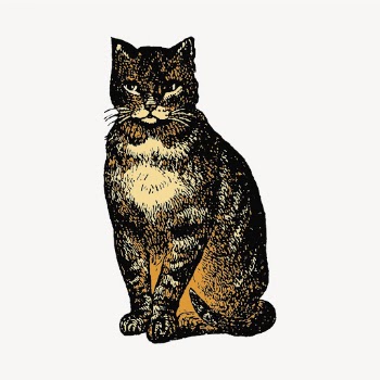 Cat, pet collage element, vintage | Free Vector Illustration - rawpixel