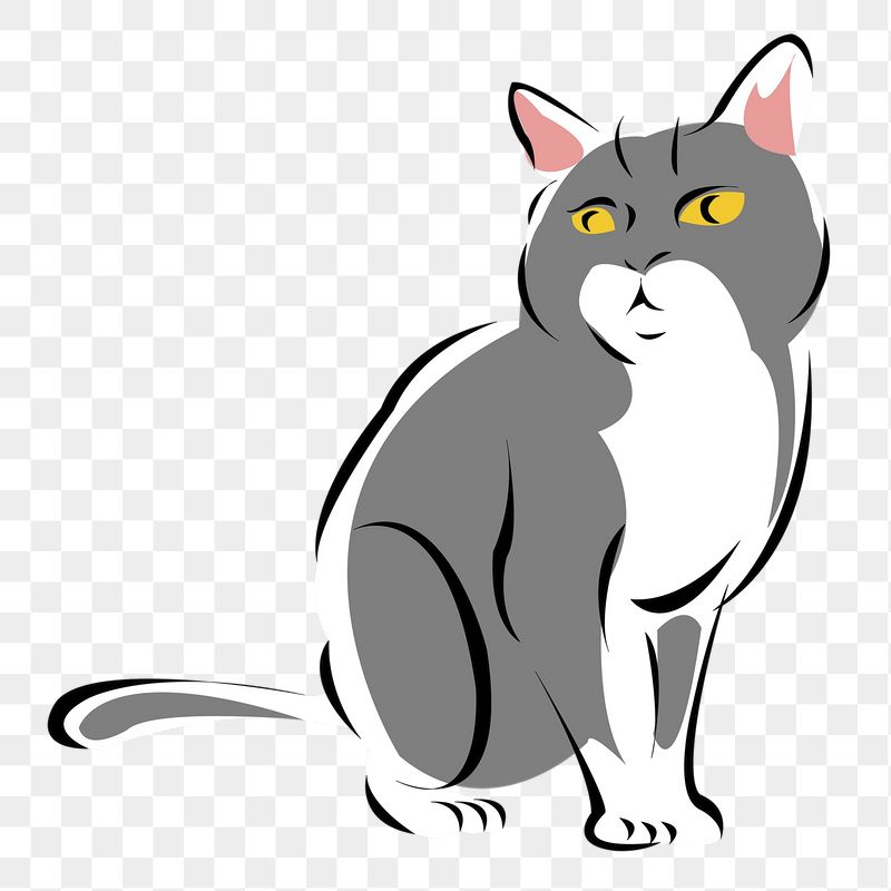 Cat, pet png sticker, transparent | Free PNG - rawpixel