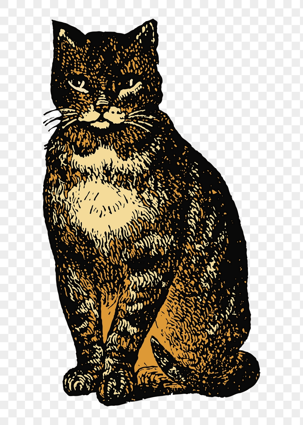Cat, pet png sticker, vintage | Free PNG Illustration - rawpixel