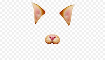 Cat Photographic filter Clip art - Cat 