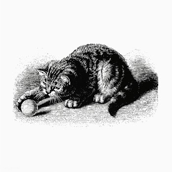 Cat playing with a ball | Free stock vector - 572702