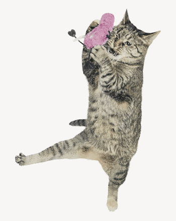 Cat playing with toy collage | Free PSD - rawpixel