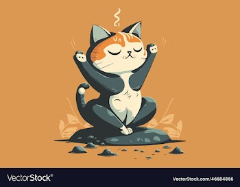 cat playing yoga