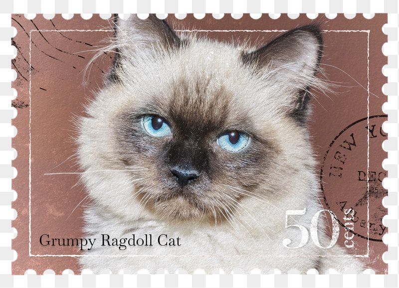 Cat png post stamp sticker, | Free PNG - rawpixel