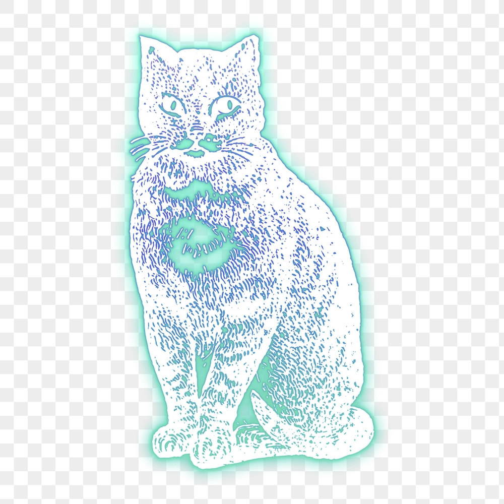 Cat png sticker, blue neon, | Free PNG - rawpixel