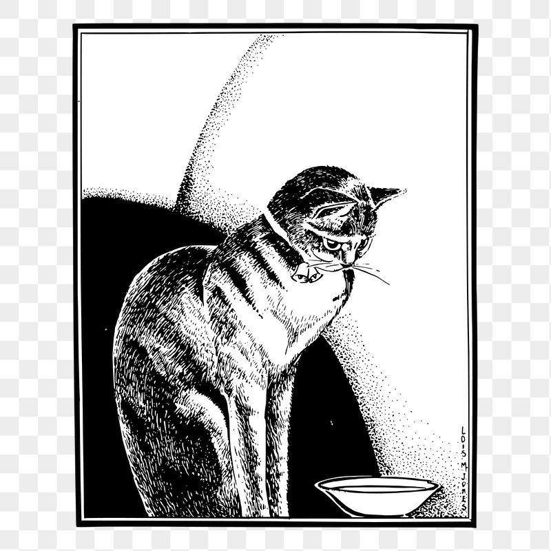 Cat png sticker illustration, transparent | Free PNG - rawpixel
