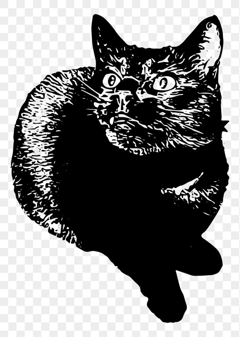 Cat png sticker illustration, transparent | Free PNG - rawpixel