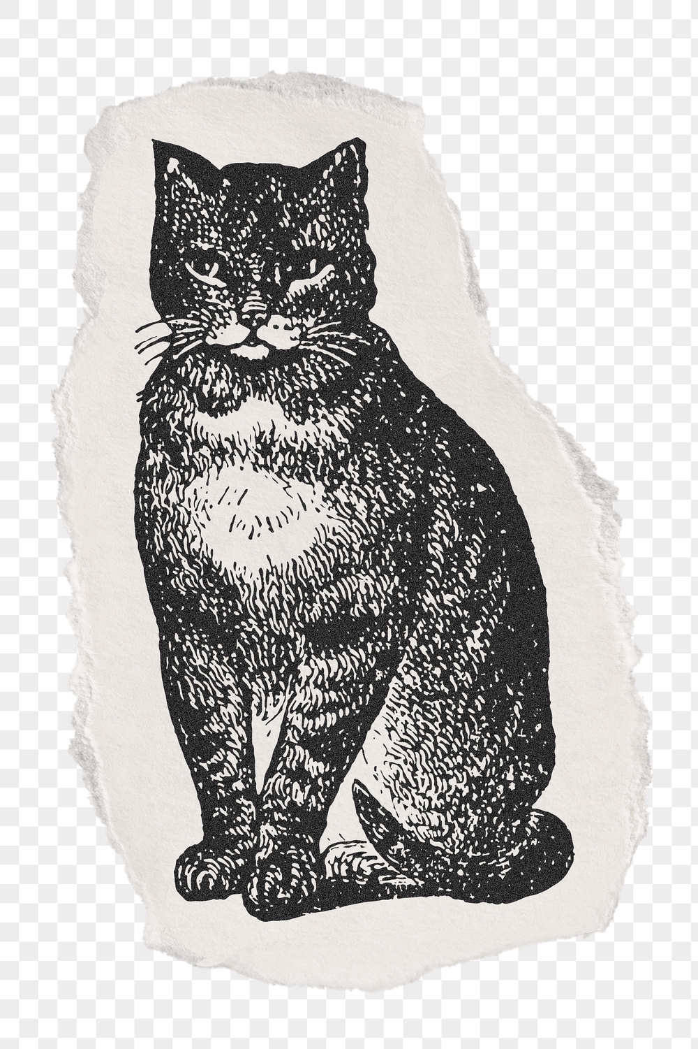 Cat png sticker, ripped paper, | Free PNG Illustration - rawpixel