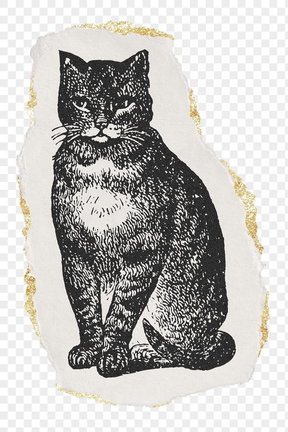 Cat png sticker, ripped paper, | Free PNG Illustration - rawpixel